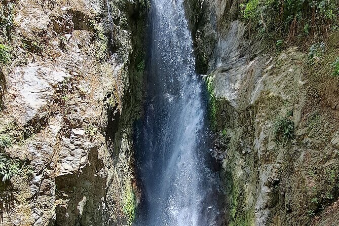 2 Hours Trekking Waterfall Tour in Tobago - What the guide adds to the experience