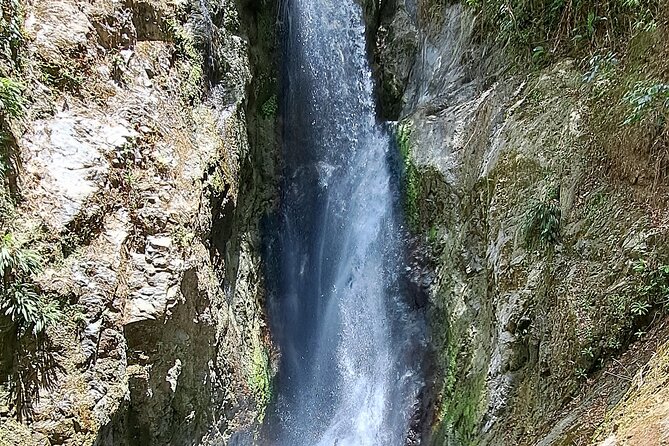 2 Hours Trekking Waterfall Tour in Tobago - What is included, and what you should plan for