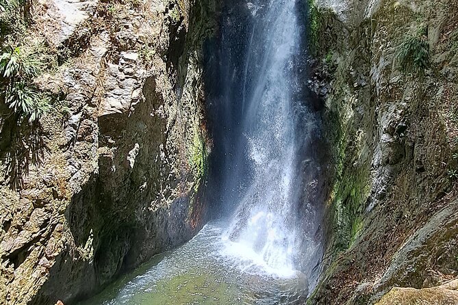 2 Hours Trekking Waterfall Tour in Tobago - Who will enjoy this waterfall tour?