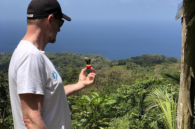 3 Hours Rainforest Walk in Tobago (Private) Lunch + Hummingbirds - Local lunch in the middle of the day