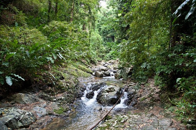 Argyle Waterfall with Adventure Farm - Walking into Argyle Waterfall