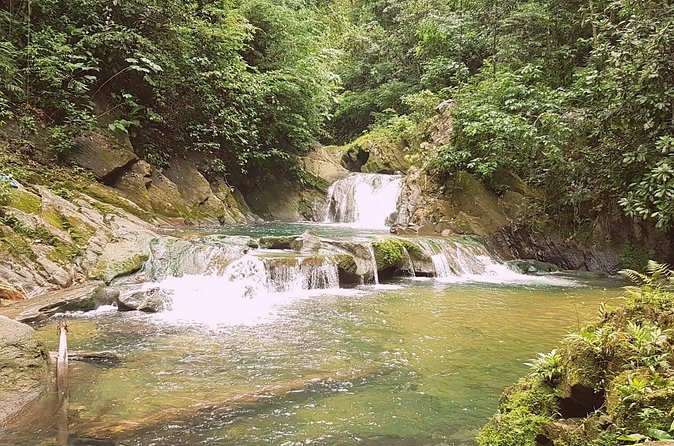 Aripo Waterfall Adventure - Who should book this Aripo outing?
