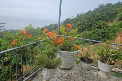 Authentic Trinidadian Cooking Class in Port of Spain