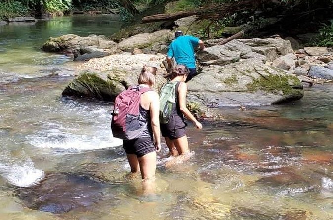 Avocat Waterfall and Beach Tour - The scenic transition to Maracas Bay
