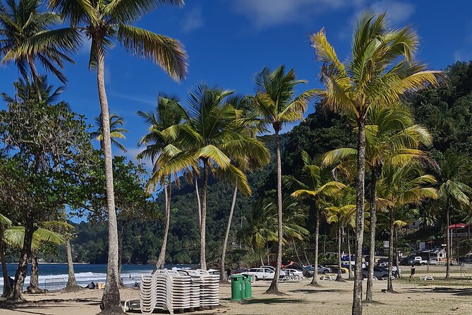 Avocat Waterfall Tour & Beach Stop Adventure - Guide service and group size