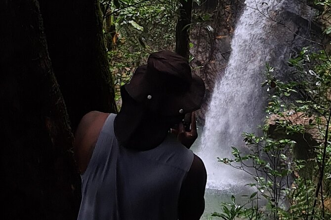 Avocat Waterfall Tour & Beach Stop Adventure - The North Coast drive from Port of Spain