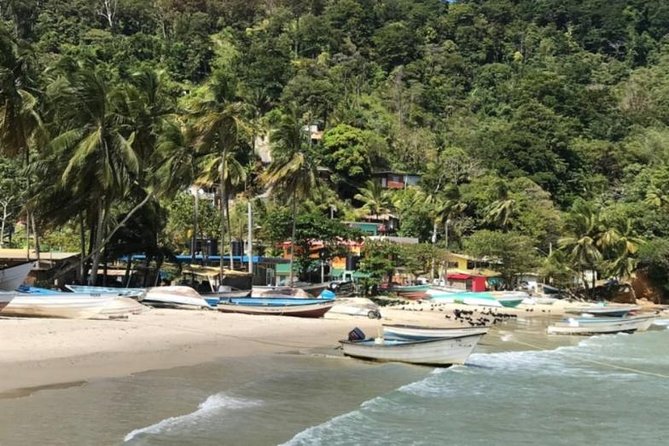 Avocat Waterfall Tour & Beach Stop Package - Why the trail suits some beginners and not others