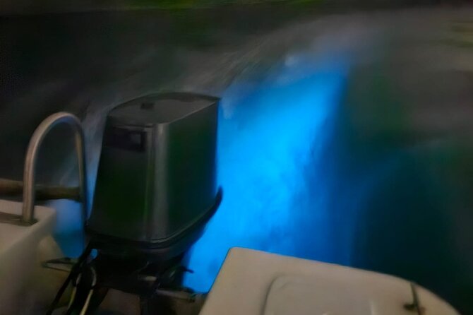 Bioluminescence Tour - The captains and the tone of the trip