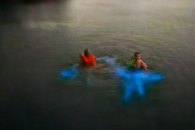 Bioluminescence Tour - What happens at Buccoo Reef after dark
