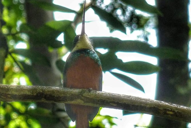 Bird Watching Tours - Practical booking advice