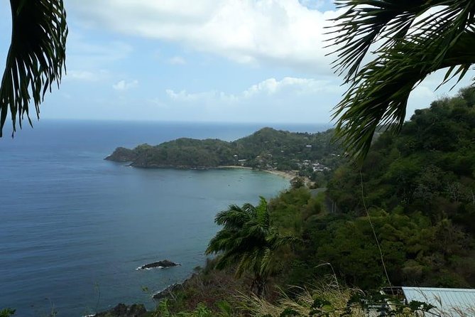Birdwatching, Waterfall, Rainforest and Island Nature Tours - What the three-hour outing can include