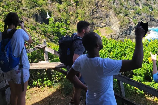Birdwatching, Waterfall, Rainforest and Island Nature Tours - Walking, rain, and what to bring