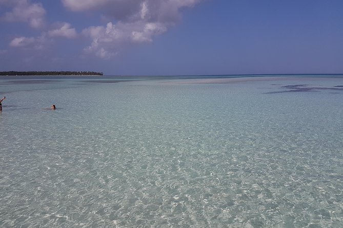 Buccoo Reef and Nylon Pool Adventure - Why Buccoo Reef and Nylon Pool work so well together