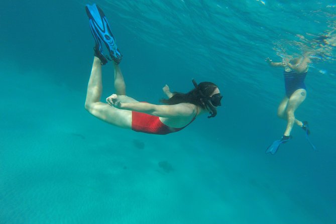 Buccoo Reef and Nylon Pool Adventure - Is $189 per person a fair price?