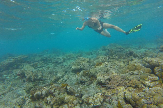 Buccoo Reef and Nylon Pool Adventure - Who should book this Tobago boat trip?