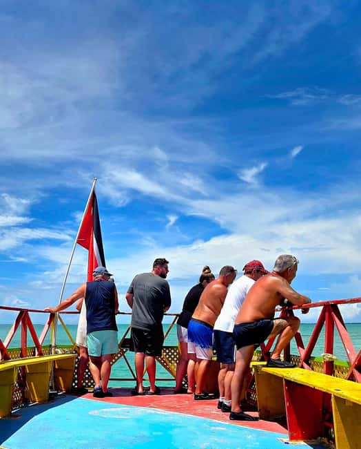 Buccoo Reef Nylon Pool Tour - Captain Phillips - Sea turtles on the ride to Nylon Pool