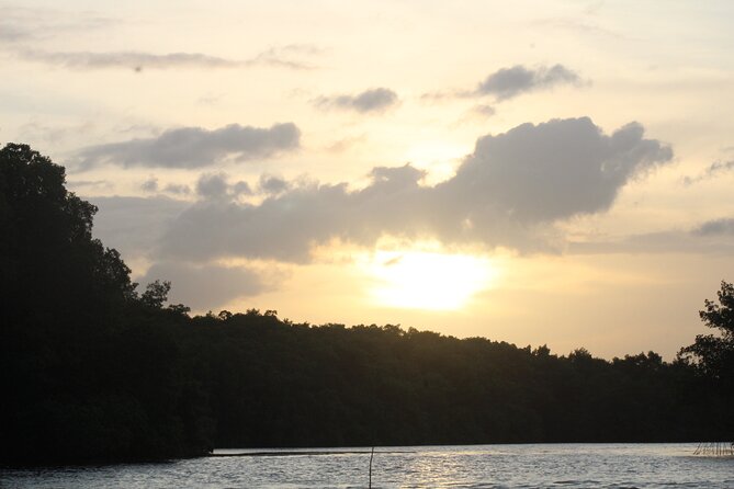 Caroni Bird Sanctuary Tour - How much value do you get for $75?