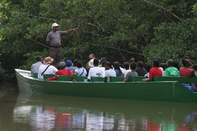 Caroni Bird Sanctuary Tour - A 3 pm start gives you the right light