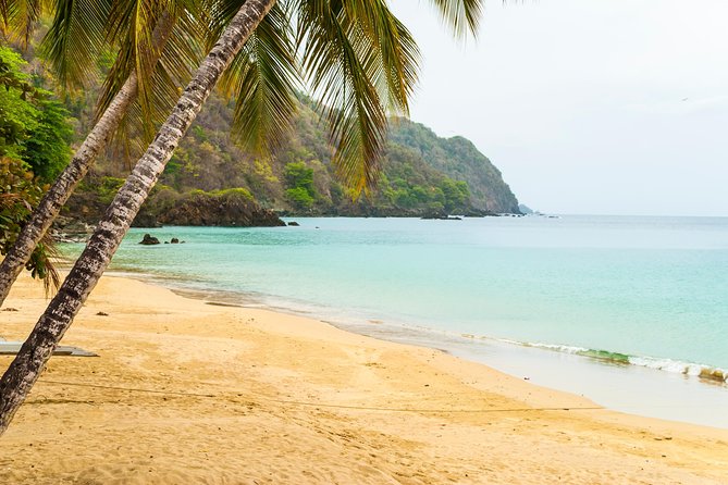Castara Bay Day Trip with Lunch - A Caribbean lunch and Terry’s personal touch