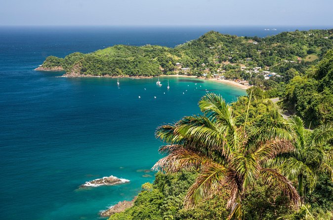Castara Bay Day Trip with Lunch - Is $185 per person a fair price?