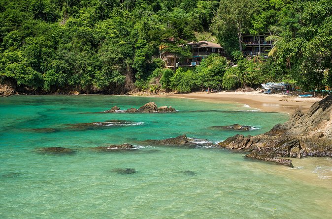 Castara Bay Day Trip with Lunch - Who will enjoy this Castara Bay day trip?