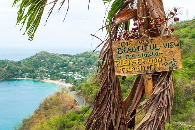 Castara Bay Day Trip with Lunch - Practical points to settle before booking