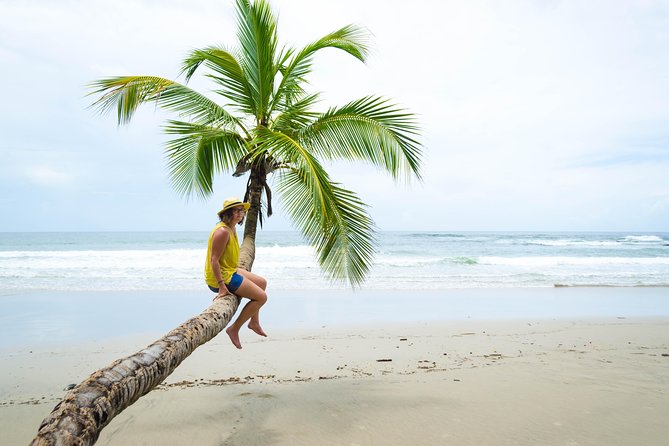 Coastal Tour of Trinidad - Why Trinidad’s North Coast Makes a Good Full-Day Trip