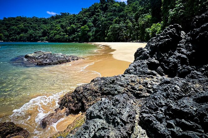 Coastline Snorkel and BBQ - Key points to know before you book