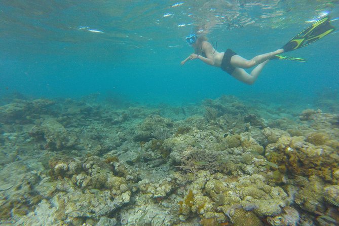 Coastline Snorkel and BBQ - Why the small group matters at $200