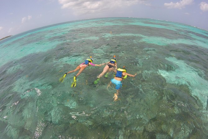Coastline Snorkel and BBQ - Nylon Pool brings a calmer change of pace