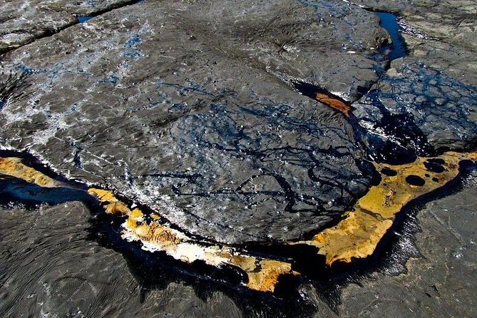 Down South Tour of Trinidad - La Brea Pitch Lake and its sulfur pools