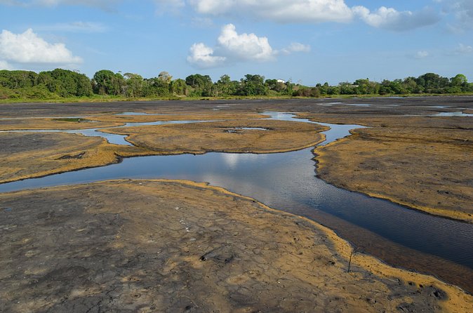 Down South Tour of Trinidad - The guide can make the long drive worthwhile