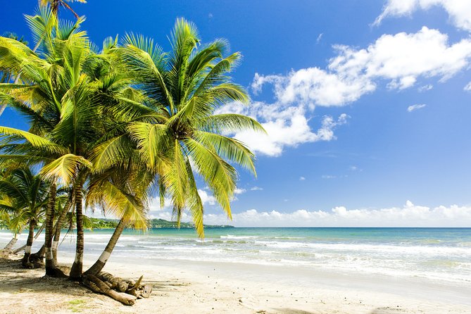 Englishman's Bay Day Trip with Lunch - Key points to know before booking