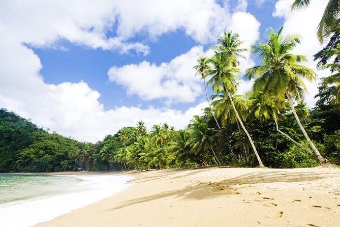 Englishman's Bay Day Trip with Lunch - Who will get the most from this beach outing?
