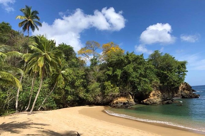 Englishman's Bay Day Trip with Lunch - Swimming and snorkeling are included, but never required