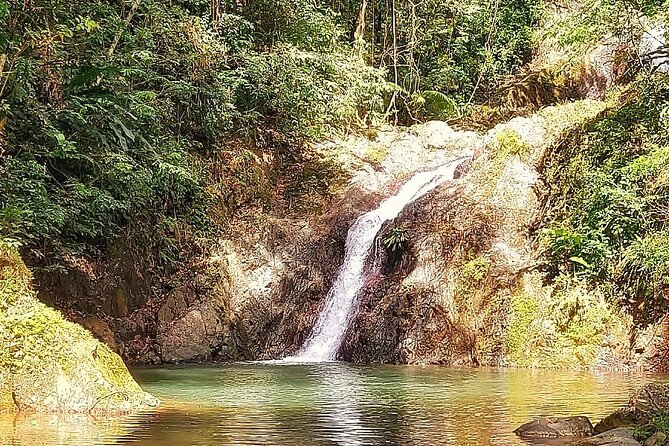 Full Day Group Tour in Tobago Atlantic Coast - Flagstaff Hill puts Man-o-war Bay below you