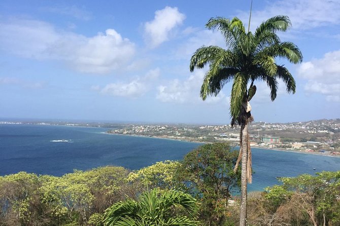 Full Island Tour (Including Lunch & Snorkeling) - Key points to know before booking