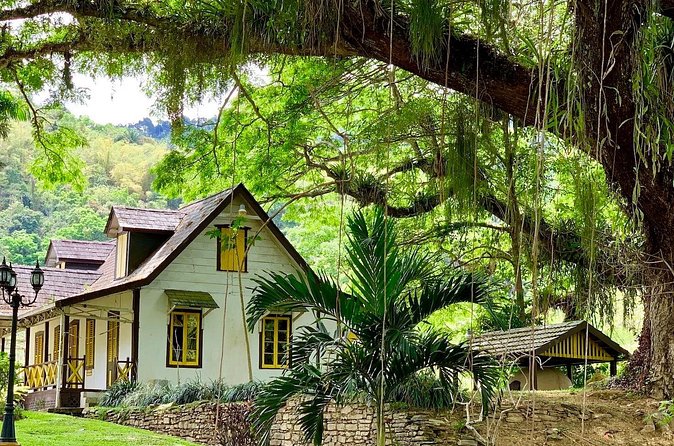 Half-day 3-Course Cocoa Lunch Tour in Trinidad - Timing, weather, and booking details
