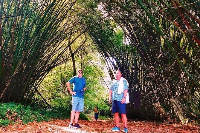 Half Day Group Tour to Tobago Atlantic Coast - Upper cascades for stronger walkers
