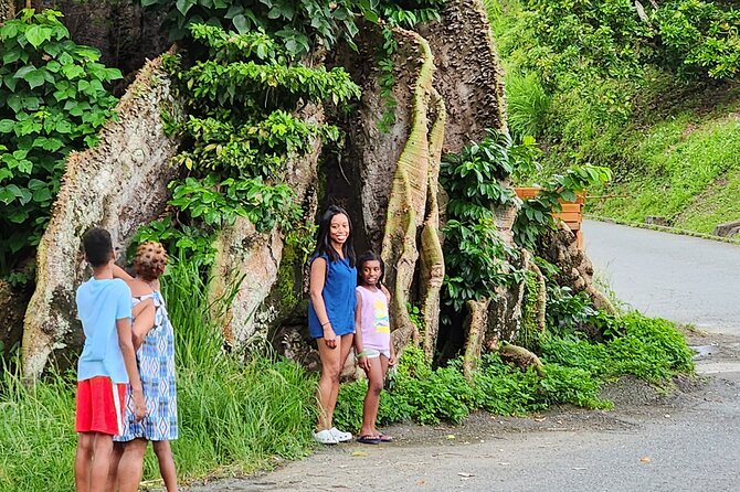 Half Day Tobago Tours with Transfers - A broad view of Tobago in one private day