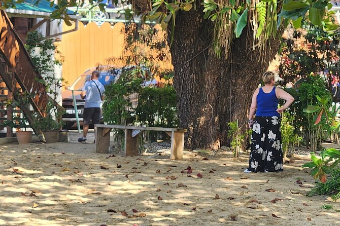 Half Day Tobago Tours with Transfers - Mt Dillion for an aerial view of Castara