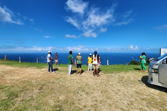Half Day Tobago Tours with Transfers - Through Tobago’s protected rainforest