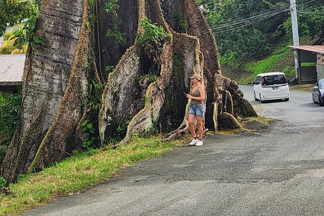 Half Day Tobago Tours with Transfers - Castara Bay, beach time, and local snacks