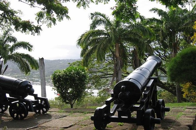 Highlights of Tobago Tour - A quick island introduction in three hours