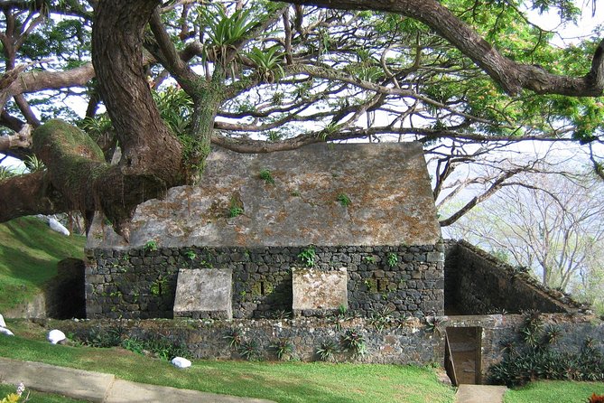 Highlights of Tobago Tour - Pickup details matter more than they seem