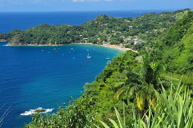 Island Tour (Food and Drinks include) - Castara Beach and Tobago’s Coastal Character