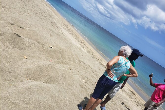 Island Tours of Tobago - Mystery Tombstone, an unusual local site