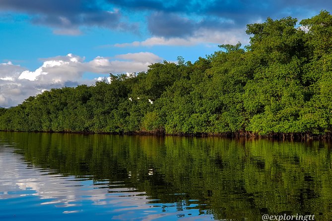 Kayak Adventure in the Second Largest Swamp of Trinidad and Tobago - Dominic adds local detail to the water route