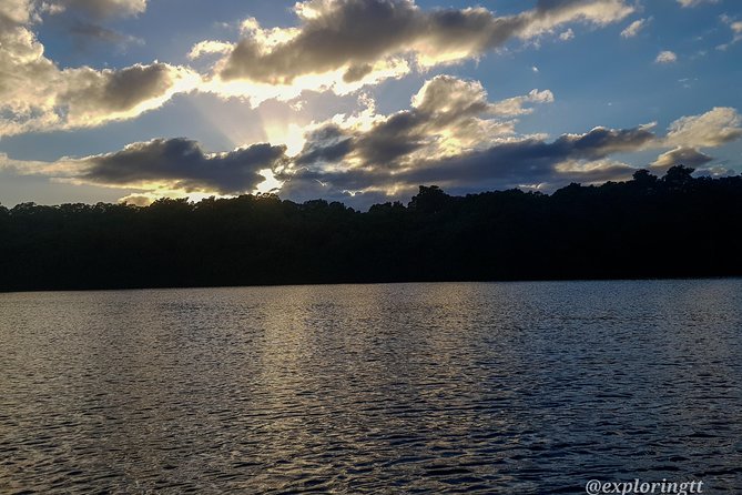 Kayak Adventure in the Second Largest Swamp of Trinidad and Tobago - Flamingos, anteaters, and the luck factor