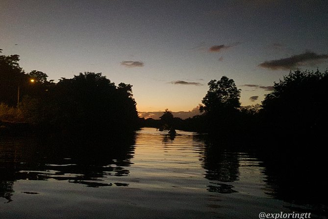 Kayak Adventure in the Second Largest Swamp of Trinidad and Tobago - Is $200 a fair price?